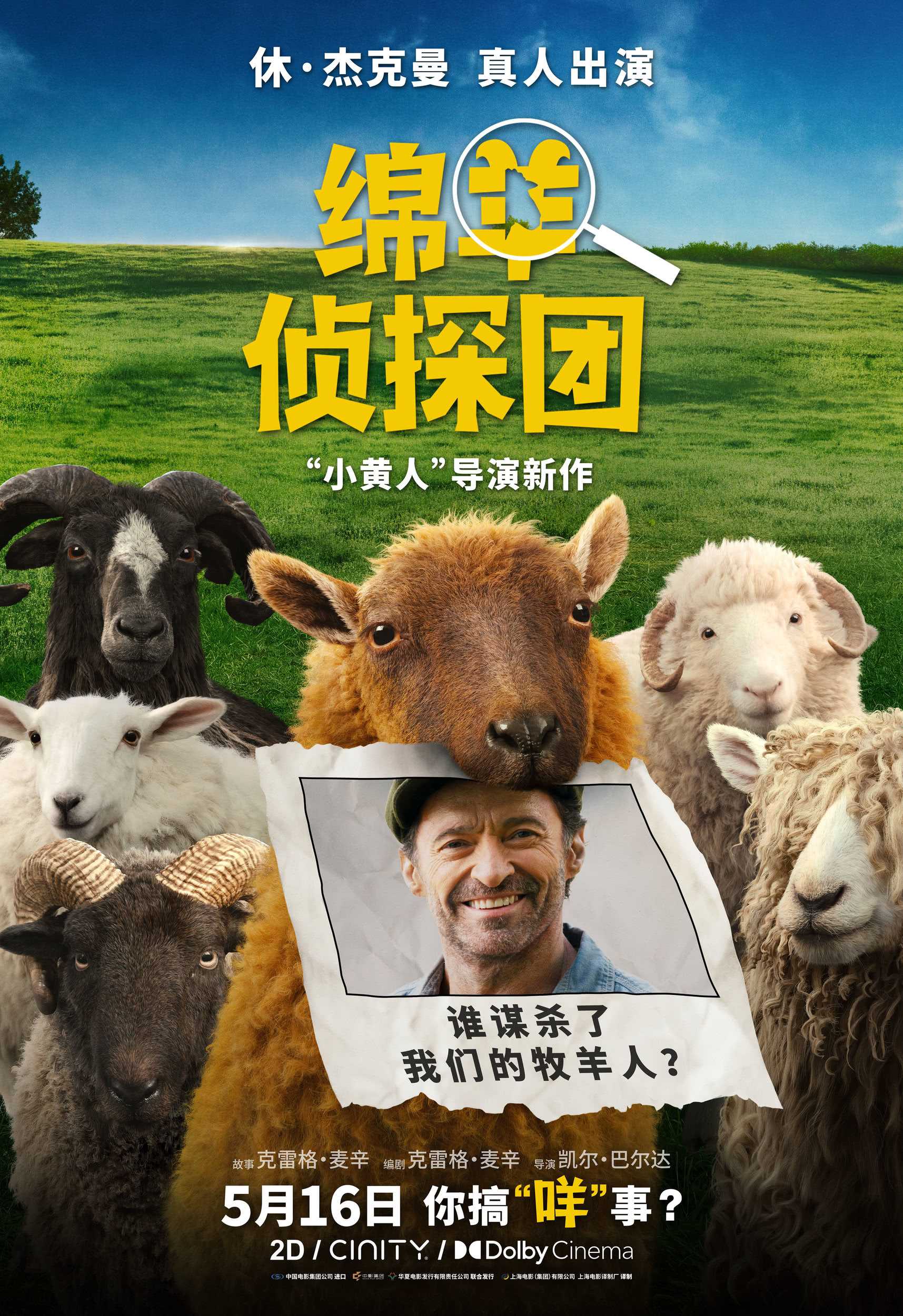 《绵羊侦探团》百度云网盘夸克下载.阿里云盘