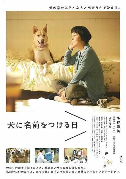 《为你取名的那一天》百度云网盘夸克下载.阿里