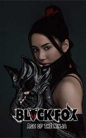 《黑狐：忍者时代》百度云电影-在线观看-超清