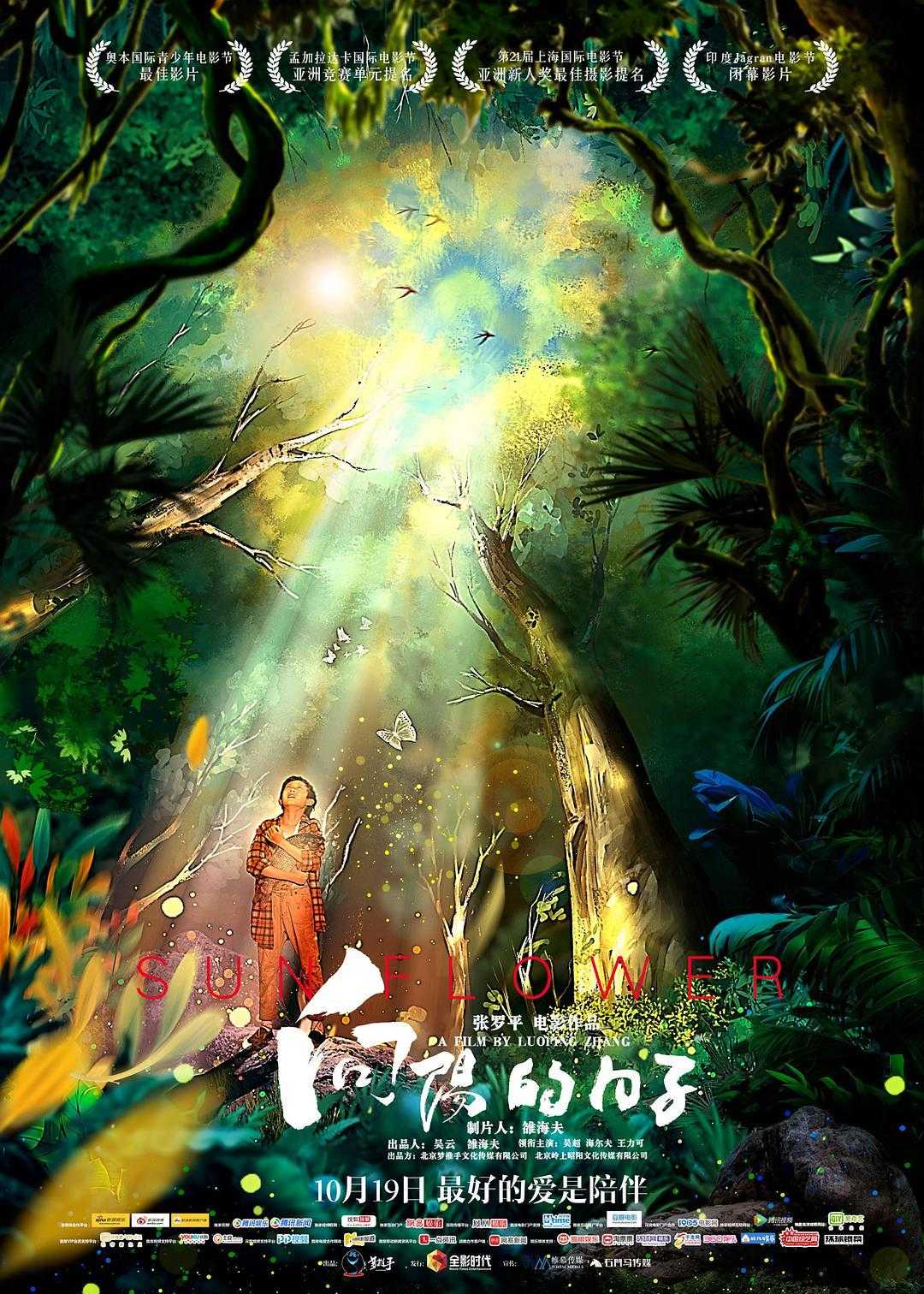 《向阳的日子》百度云网盘下载[MP4/mkv]蓝光[BD7