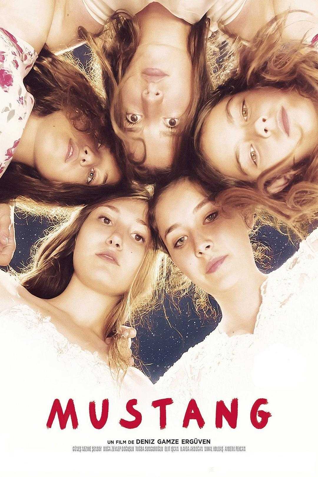 《野马》百度云盘下载[MP4/mkv]蓝光[BD720P/HD1080P]网