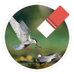 Magic Photo Eraser for Mac 1.6.1 激活版 – 简单实用的图片编辑修图应用