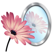 PhotoReflector 1.1.0 MacOS
