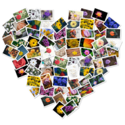 FigrCollage 3.3.2 MacOS