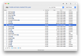 ProFind 1.16.0 MacOS